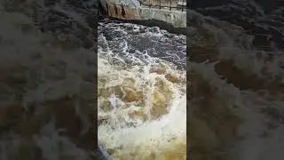 Открыли платину, воды много!
