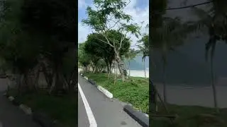 Bán Đảo Sơn Trà - Đà Nẵng