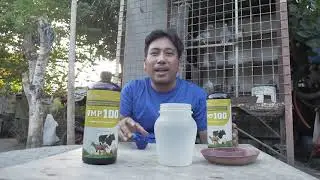 GAMIT SA ATING ALAGANG KALAPATI