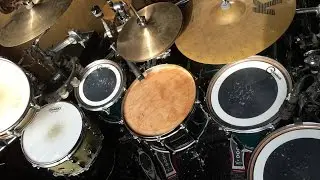Forest King Wooden Drumheads by Index Drums Review