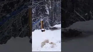 dağlara kış geldi