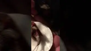 Нечто древнее из лужи Тверской губернии.