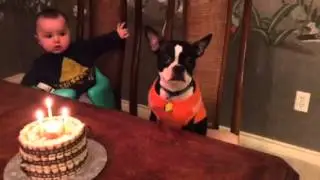 Tipp 3 birthday