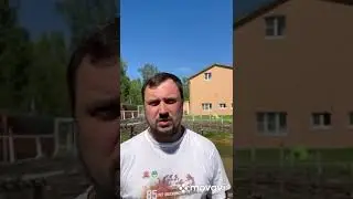 Центр помощи зависимым "Шуя"