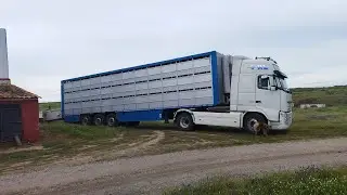 Buenos productos para los manjares más esquistos!!