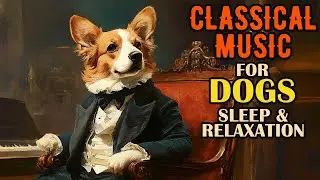 Vivaldi for Dogs - Classical Music for Dogs - Music for Dogs with Anxiety