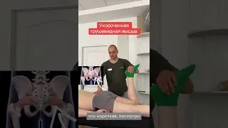КОРОТКАЯ Грушевидная мышца