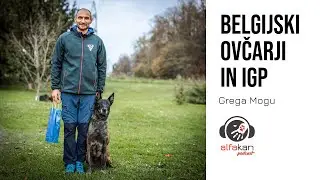 Grega Mogu o belgijskih ovčarjih in IGP-ju | alfakan | podcast