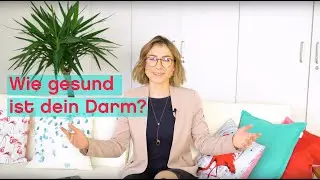 Alles rund um Darmgesundheit. Wie entsteht Sättigung? Wie pflegst du deine Bakterien?