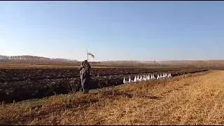 А дальше?..))