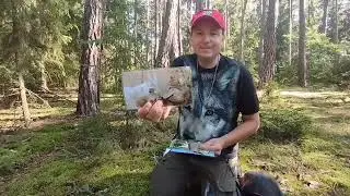 5.přenáška o vlcích - vlčí přísloví (Fifth Lecture on Wolves - Wolf Proverbs)