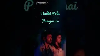Vizhiyin Andha Thedalum #shortlyrics #shorts #shortsvideo #paadalrasigan #verticalstatus