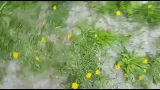Крингефильм "Зомби в Сегеже" часть 2