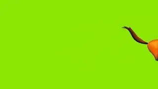 Horse running green screen effect