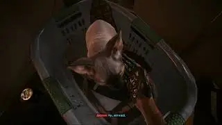 Cyberpunk 2077 - как получить кота (Нибблс)