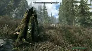 Skyrim?