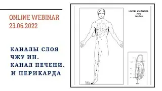 СЛОЙ ЧЖУ ИН: КАНАЛЫ ПЕЧЕНИ И ПЕРИКАРДА. ВЕБИНАР ПО КМ.