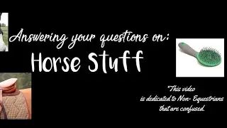 A video dedicated to confused non-equestrians. *Educational* 😂 Answering questions! *Hopefully*