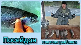 Очередной выезд. Рыбалка в РК "Посейдон" Тут клюёт всегда!🔥👍