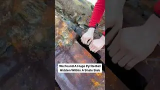Hunting For Giant Spherical Stones In Shale Slabs 🐊🦖🦑🔨