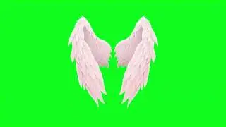Wings green screen new