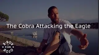 The Cobra Attacking the Eagle - Poe One on the History of Airchair