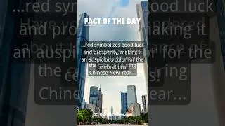Fact of the Day | Domino Chinese #shorts #mandarincourse #chineselanguage #mandarin #learnchinese