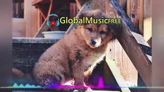 Roa - Together (Tropical House) | Copyright Free