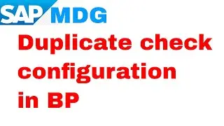 Duplicate check configuration in SAP MDG BP
