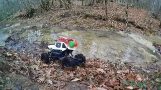 Pangolin и река 2