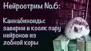 Нейрострим №6: Каннабиноиды: заверни в косяк пару нейронов из лобной коры