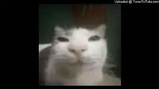 digabigalius beat