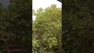 надвигающийся ураган в Сочи