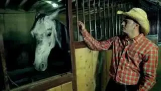 Déjame decirte / Los fantásticos