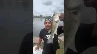 We on board let’s gooooo best bqq fish ever coming up 