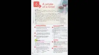36   Spotlight 7, Module 6, Unit 6c, Page 60