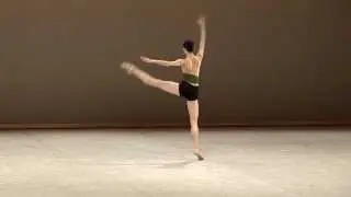 Xuechen Liu - 2013 Selections - Contemporary variation