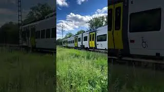 Siemens Mireo EMU #shorts