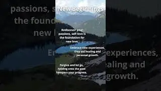 New Beginnings