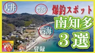 行けば釣れる釣場３選【南知多編】豊浜、大井、内海。