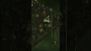 Should YOU Fight Lord Of The Fruit Flies!? DST OP 