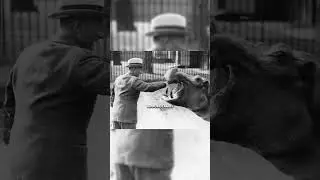 RARE PHOTOS YOU HAVEN’T SEEN BEFORE PART 84