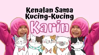 Kenalan Sama Kucingku Di Rumah