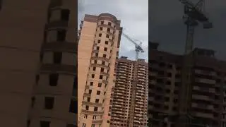 Дистанционная охота на голубя