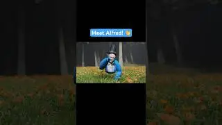 Meet Alfred