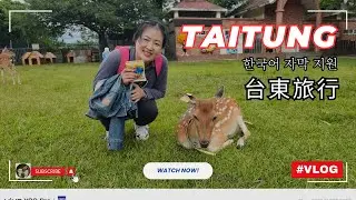 台東旅行vlog DAY2 | 오해해서 미안해 사슴아 🦌끝도 없이 펼쳐진 논과 밭의 향연 (ft.파인애플 밭, 차밭 etc) #梅花鹿公園 #꽃사슴 #타이동