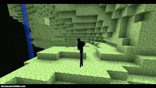 Mr.Enderman News Report