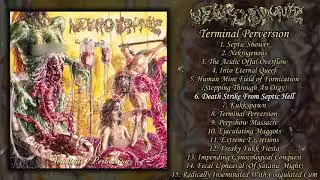 Nekro Drunkz - Terminal Perversion FULL ALBUM (2019 - Grindcore / Death / Thrash Metal)