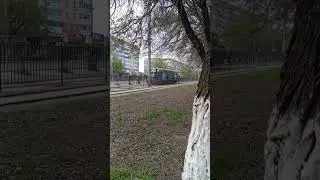Павлодарский трамвая 9 мая 2024 #shorts