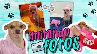 IMITANDO FOTOS DE MASCOTAS 🐶